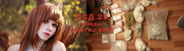 СК Липки