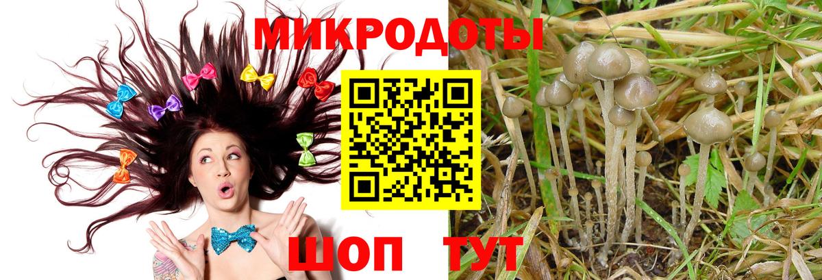 Псилоцибиновые грибы ЛСД  наркошоп  Канаш 