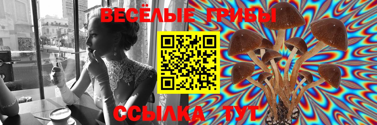 Галлюциногенные грибы Psilocybine cubensis Канаш