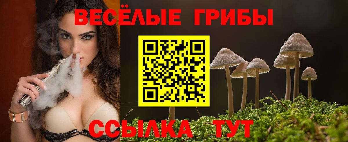 Псилоцибиновые грибы Psilocybine cubensis  Галлюциногенные грибы GOLDEN TEACHER  Канаш  Вход с VPN 
