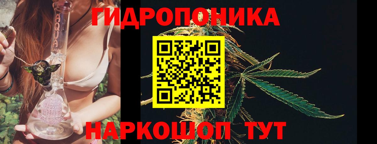 Бошки марихуана VHQ  Вход с VPN  Марихуана конопля  Канаш 